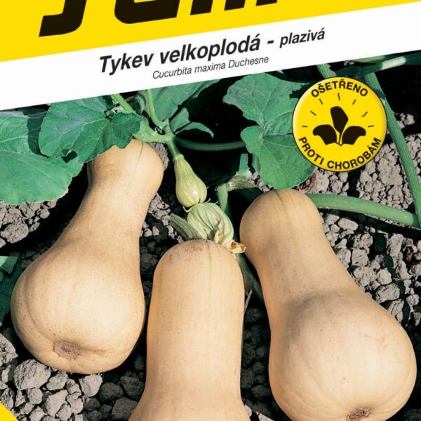 Tykev muškátová - Butternut (Liscia) konz.vař 2g