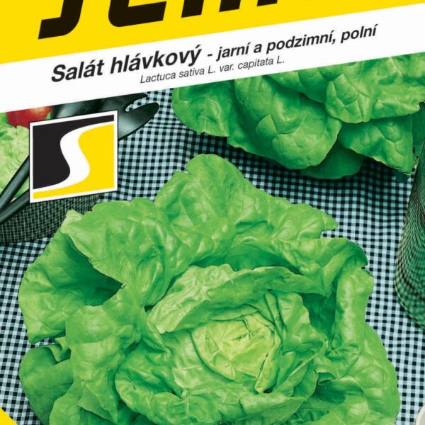 Salát jarní - Faraon polní (podzimní) 0,6g