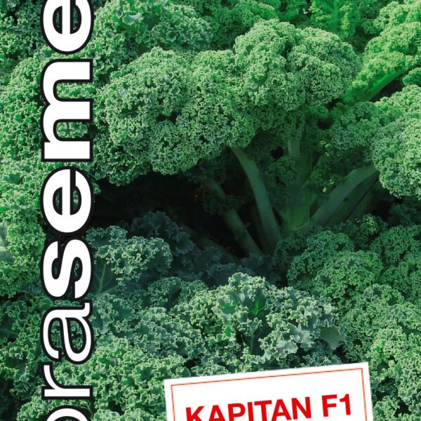 Dobrá semena Kadeřávek - Kapitan F1 30s