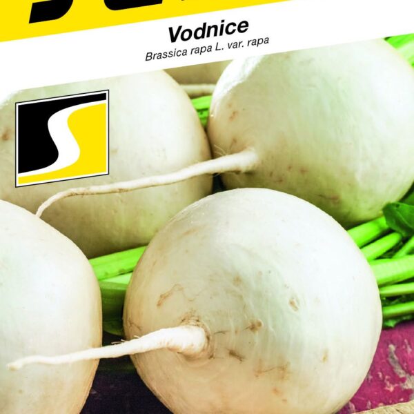 Vodnice - Andy F1 (SM 6/17 Fu) 50s