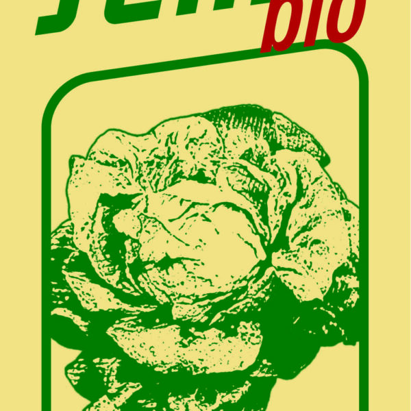 BIO Salát letní Dětenická atrakce - 0,5g