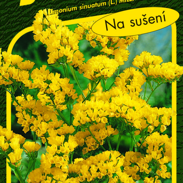 Limonka Statice sinuata - Gold Coast žlutá 0,5g
