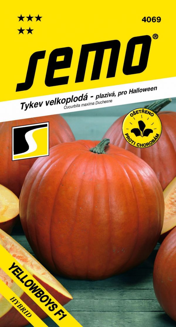 Tykev Yellowboys F1 (Halloween) - plazivá 3g - 8fa72890 3efb 461b 8173 36604e5e43ba