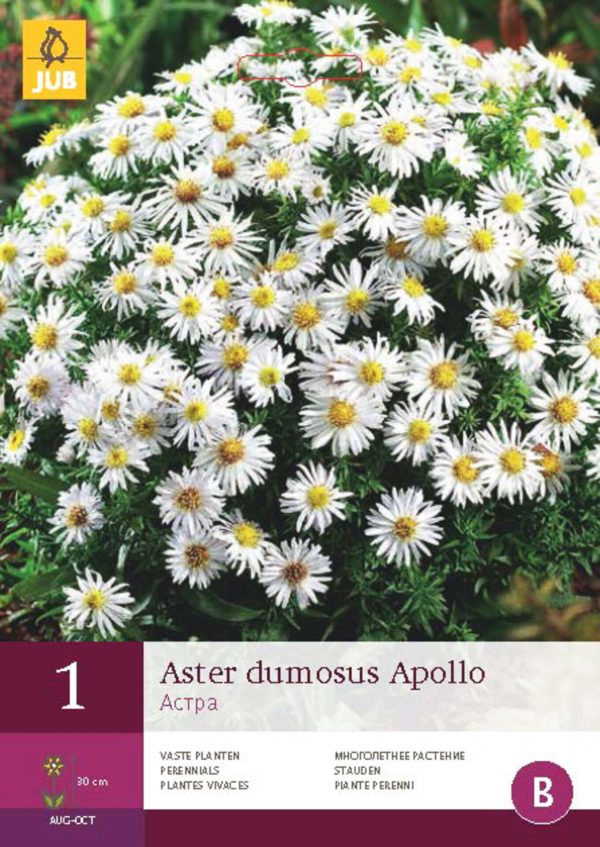 Karta - Astra DUMOSUS APOLLO (1 hlíza) "B" - 91e12c3b 2061 4e8f bf75 1bfe57fdf9b5