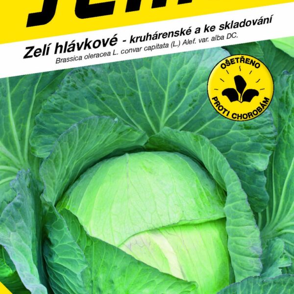 Zelí kruhárenské - Kamienna Glowa pozdní 0,8g