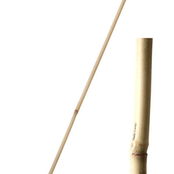 Tyč bambusová 240 cm tl. 20-22 mm