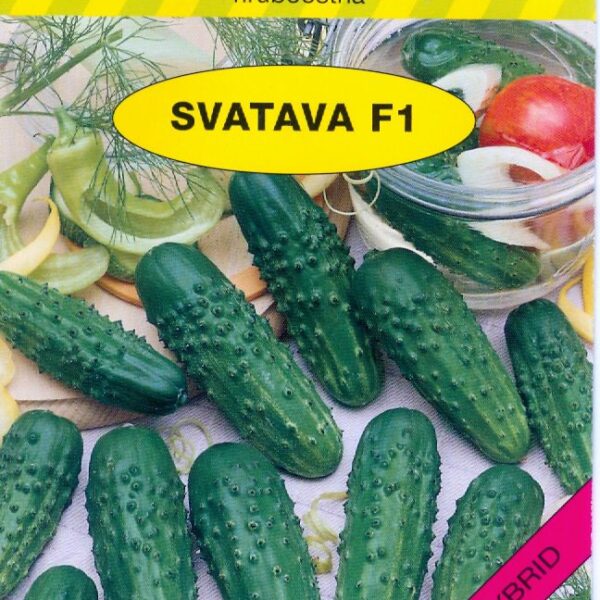 Okurka nakl. Holman - Svatava F1 hr 2 g