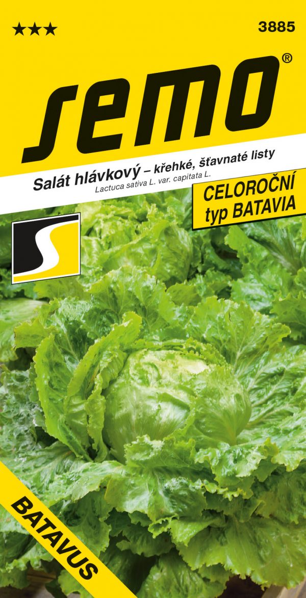 Salát ledový - Batavus (SM-BAT) PROFI polní 0,6g - a2658474 f3f7 4c4a 9ebf fc37ff19d066