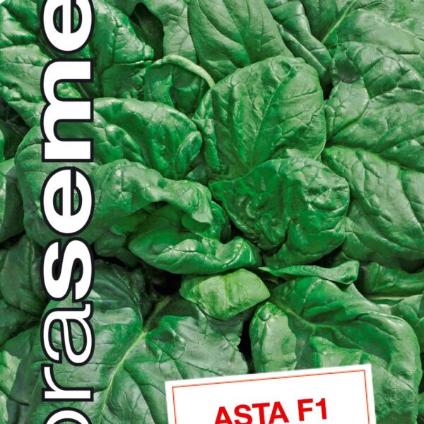Dobrá semena Špenát setý - Asta F1 4g
