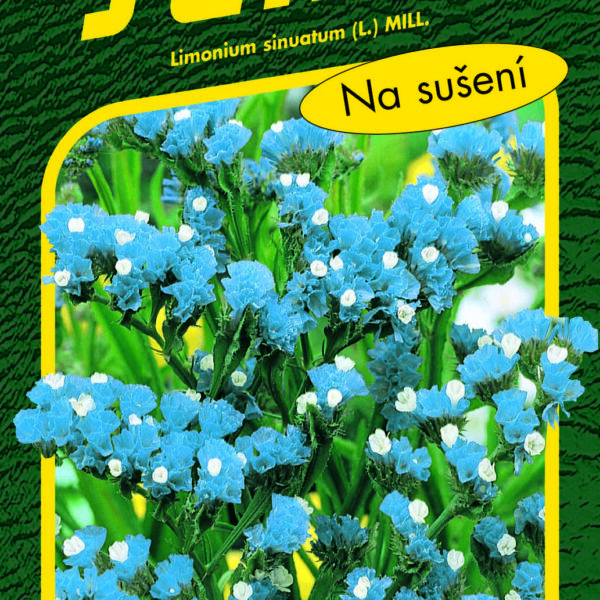 Limonka Statice sinuata - Heavenly Blue modrá 0,5g