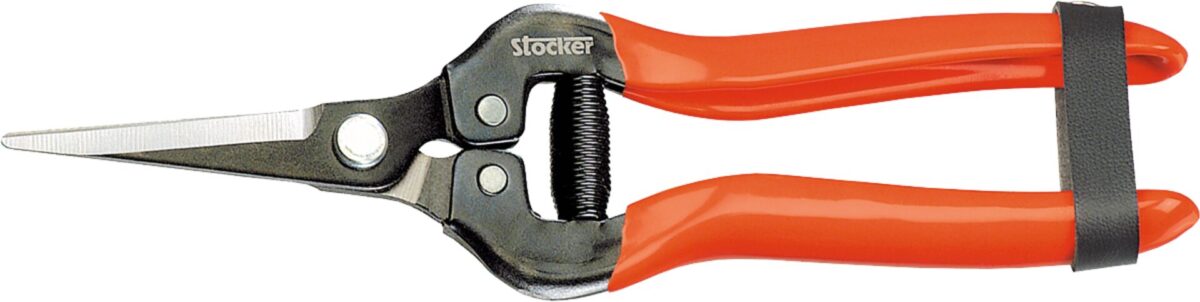 Nůžky pro vinaře 19 cm Stocker - Image 1