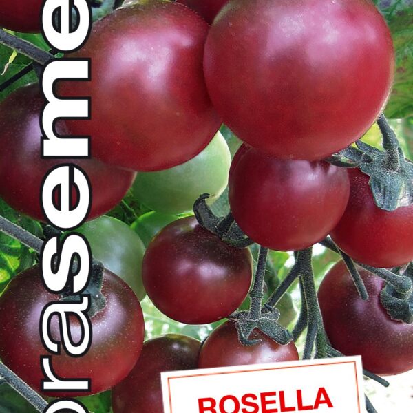 Dobrá semena Rajče tyč. třešňové - Rosella 10s