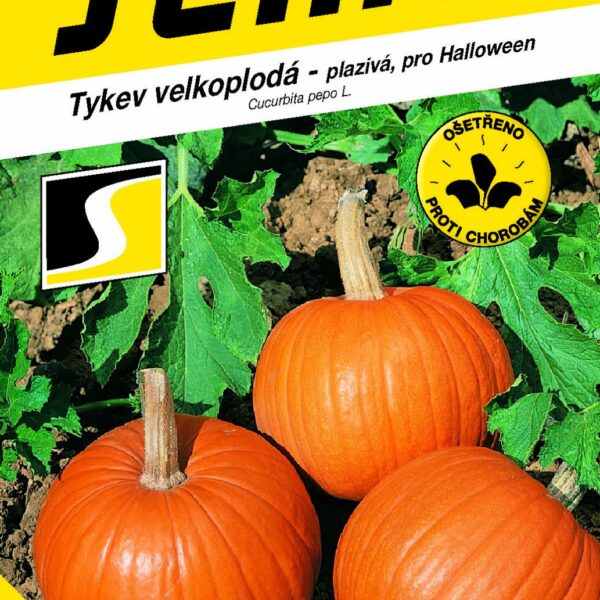 Tykev plazivá - Yellowgirls F1 (Halloween) 3g