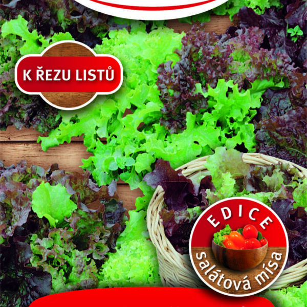 ROSTETO - Salát Barevná směs odrůd -  kadeřavý k řezu 0,8g