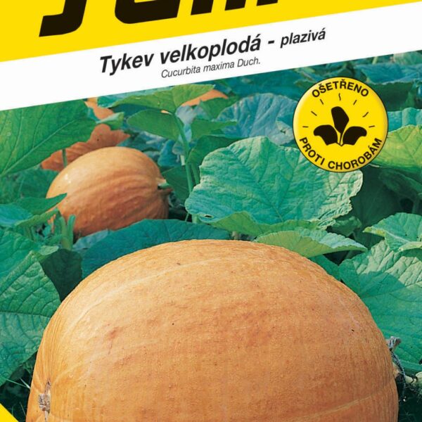 Tykev plazivá - Goliáš velkoplodá 9s