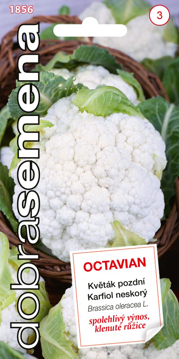 Dobrá semena Květák pozdní - Octavian 0,3g - bf7135fe 5589 45a6 8354 600b44e4dafb