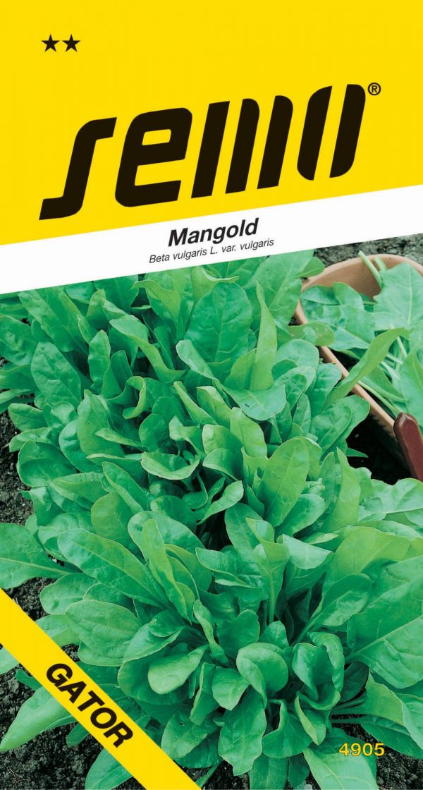 Mangold Perpetual spinach (Gator) - zelený 4g - c458861c b154 42c6 9cbe 77211c5e7a60