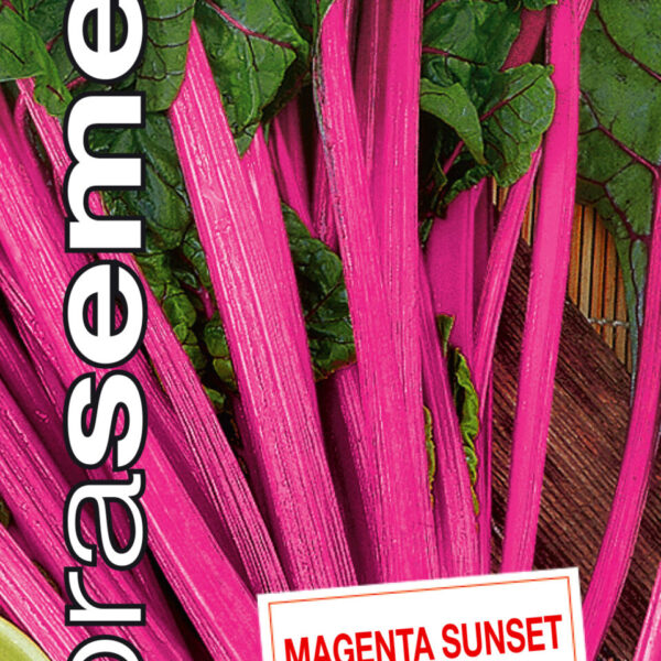Dobrá semena Mangold - Magenta Sunset 2,5g
