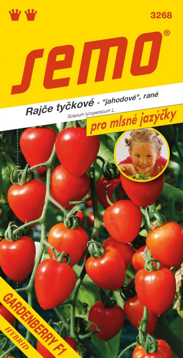 Rajče Gardenberry F1 - tyč. jahodové 12s - série JAZÝČKY - ca225260 b737 4a00 af9e 6d3f14a93f84