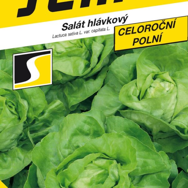 Salát celoroční - Merkurion PROFI polní 0,6g