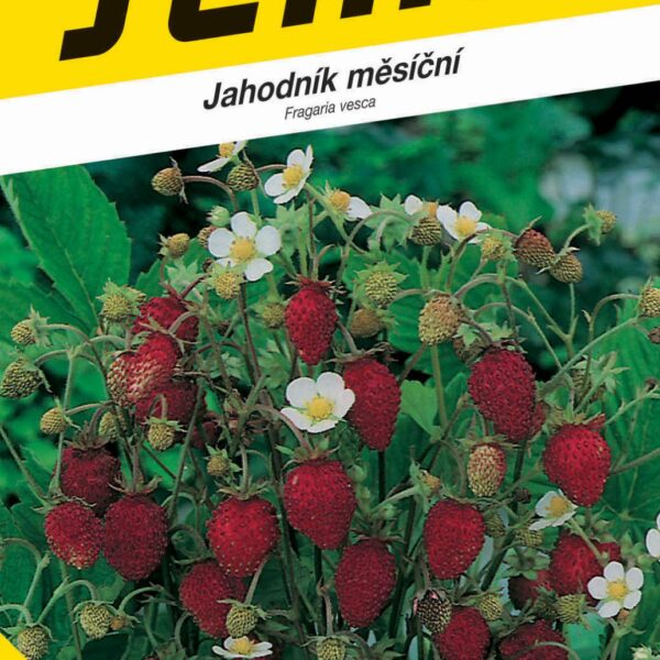 Jahodník měsíční - Rujána 0,2g