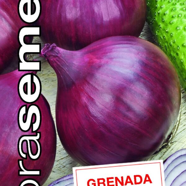 Dobrá semena Cibule jarní - Grenada červená 1,8g