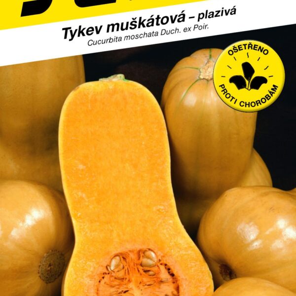 Tykev muškátová - Stella F1 (typ Butternut) konz.vař 2g