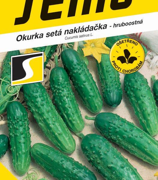 Okurka nakl. - Regina F1 hr 2g