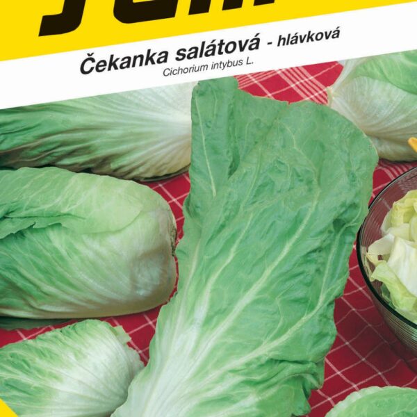 Čekanka hlávková zelená - Pan di Zucchero Bravo 0,3g