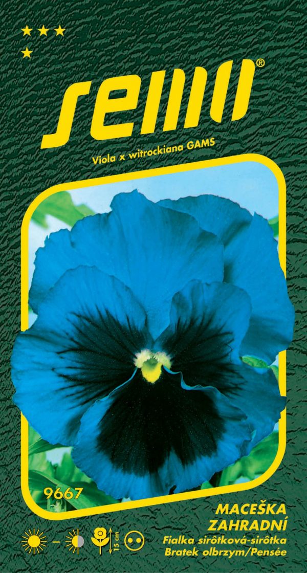 Maceška modrá s okem - zahradní 0,3g - dc7b5f8b c9dc 4372 b45a ef279d79794f
