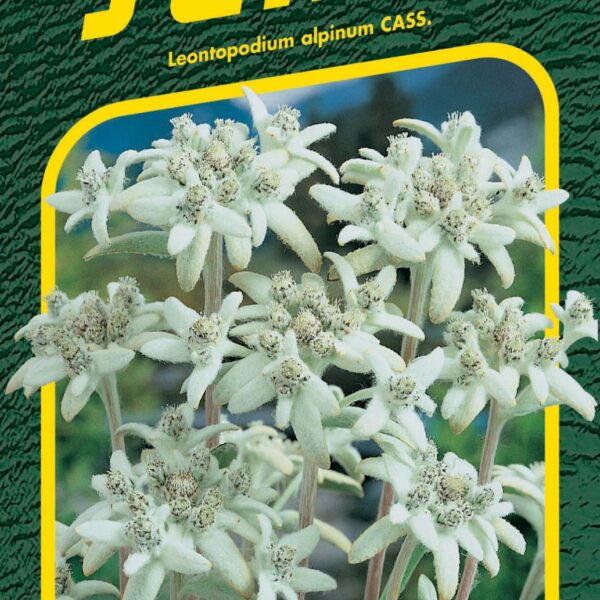 Protěž alpská - Edelweiss 0,1g