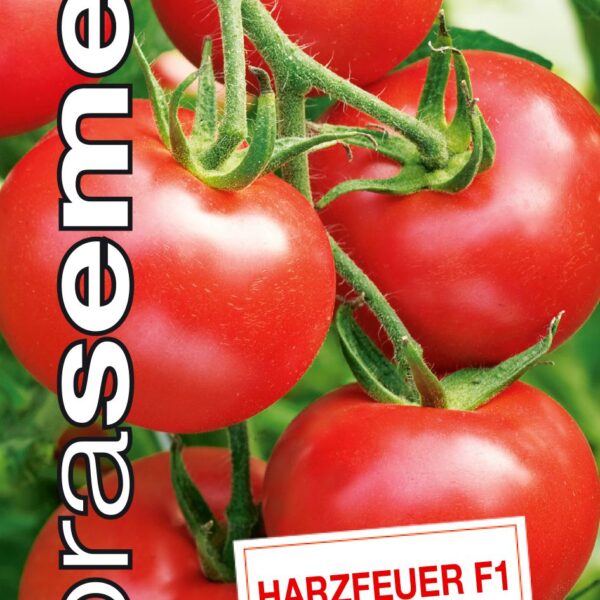 Dobrá semena Rajče tyč. - Harzfeuer F1 10s