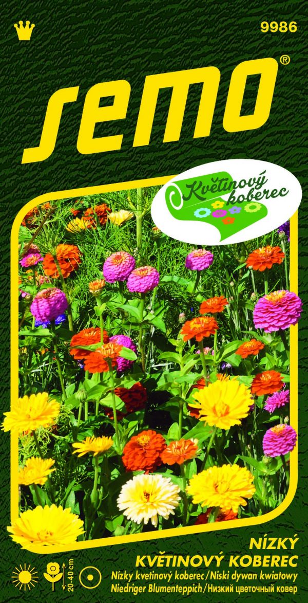Směs Luční třpyt (Little Carpet Multicolour) 6g - série KVĚTINOVÝ KOBEREC - f72fa913 61e4 4bfc 8972 6330d2d8d70f