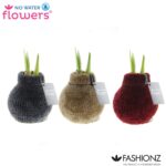 Amarylka ve vosku_WAXZ® - Fashionz Cozy Teddy-MIX