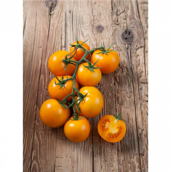 Roubované rajče Starlias® F1 Orange Bolzano - Rajce Starlias F1 Bolzano