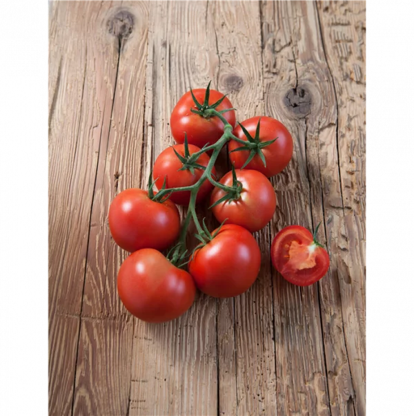 Roubované rajče 'Starlias® Red' F1 - rajce Starlias F1 red