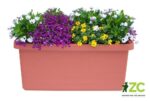 Truhlík samozavlažovací Berberis Duo - terakota 80 cm