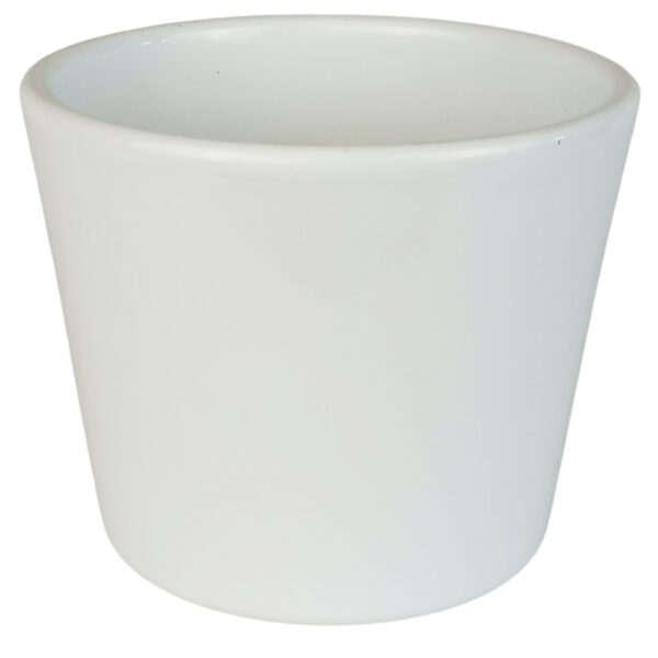 Obal 811 primule White lesk 10 cm