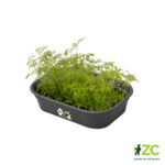 Spodní díl k minipařeništi Green Basics L - living black