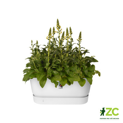 Truhlík Greenville Terrace - white 80 cm