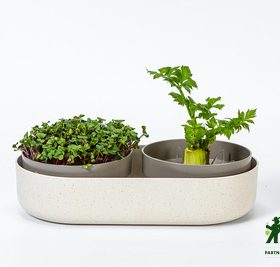 Klíčící miska MICROGREENS + Regrow - slonová kost s kávovou sedlinou