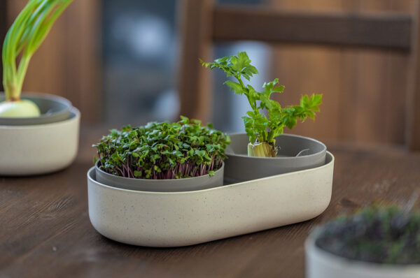 Klíčící miska MICROGREENS + Regrow - slonová kost - 08c3e819 990d 4309 a4ad a00db4e18a69