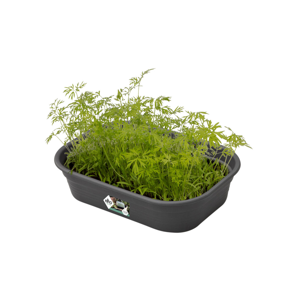 Spodní díl k minipařeništi Green Basics L - living black - Image 2