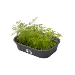 Spodní díl k minipařeništi Green Basics L - living black - Image 2