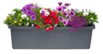 Truhlík samozavlažovací Berberis Trio - antracit 117 cm - Image 2