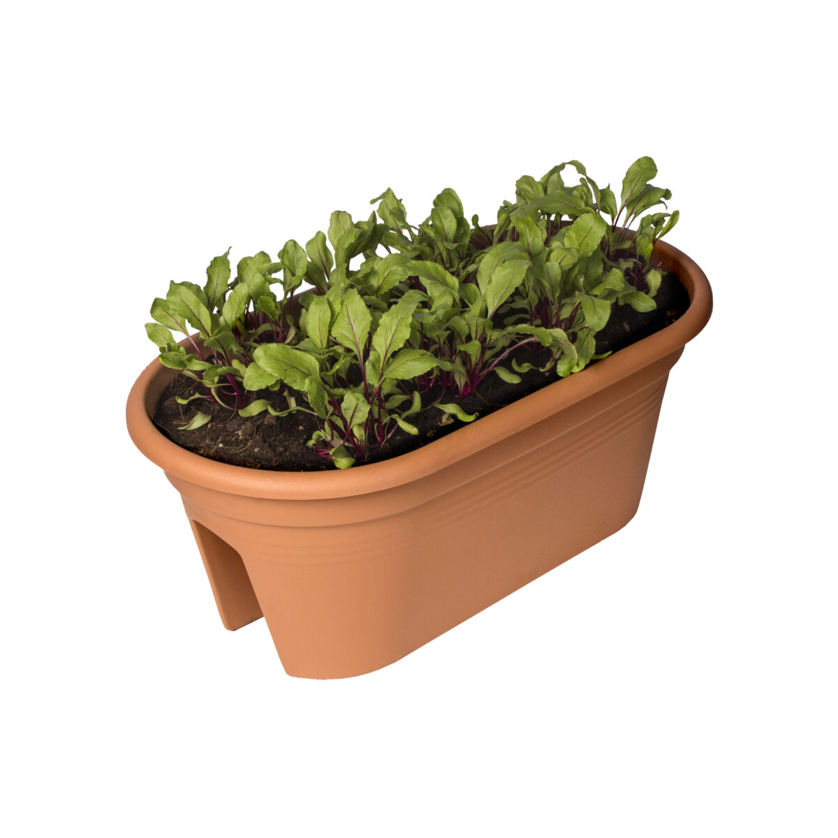 Truhlík Green Basics Flower Bridge - mild terra 55 cm - Image 2