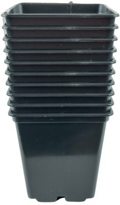 Kontejner pevná kvalita 7x7x8 cm - 10 ks - 5e3bab37 2d70 4adf 86db d231ec201f9b