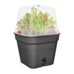 Květináč Green Basics growpot square all-in-1 20 cm -  living black - Image 2
