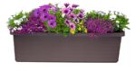 Truhlík samozavlažovací Berberis Trio - čokoládový 117 cm - Image 2