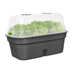 Truhlík Green Basics growpot tray all-in-1 39 cm - living black - Image 2